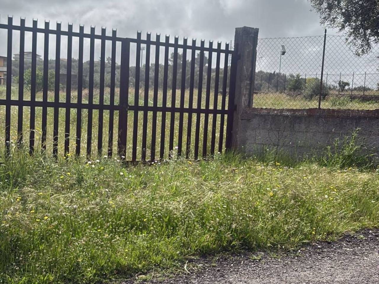 immagine annuncio 1 di 7