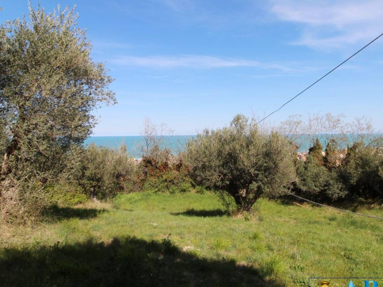 immagine annuncio 4 di 6