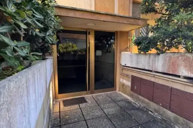 insertion image