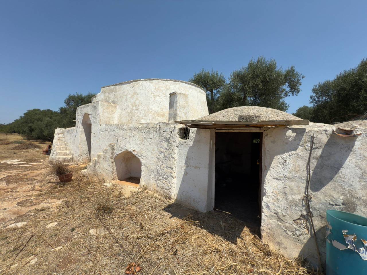 immagine annuncio 2 di 7