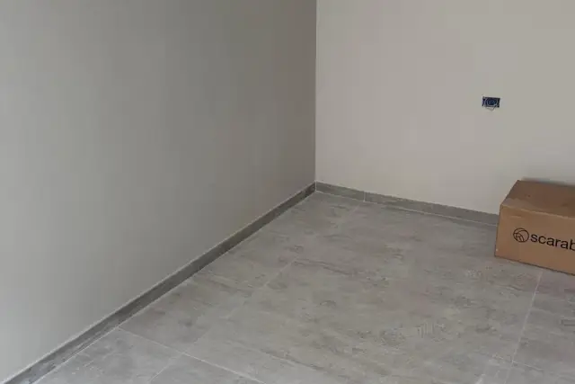insertion image