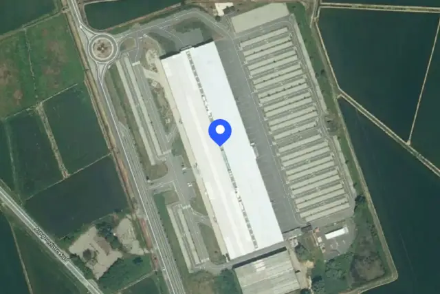 insertion image