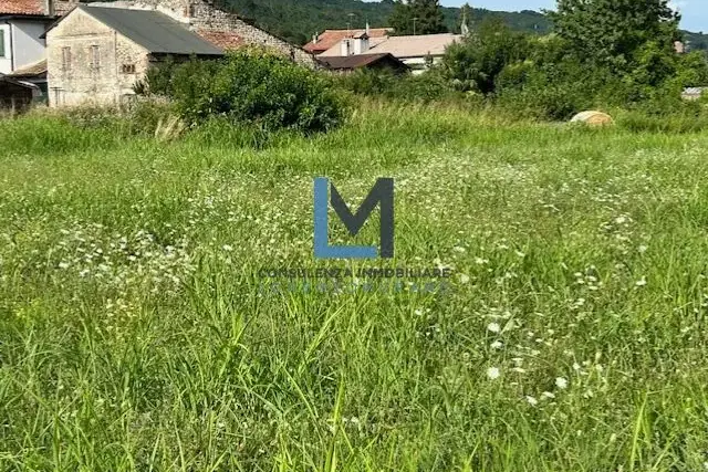 insertion image