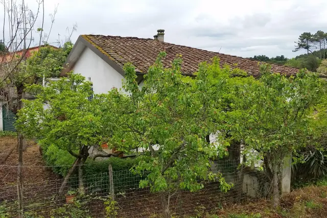 Country house or cottage in Via dei Bozzi 3591, Lucca - Photo 1