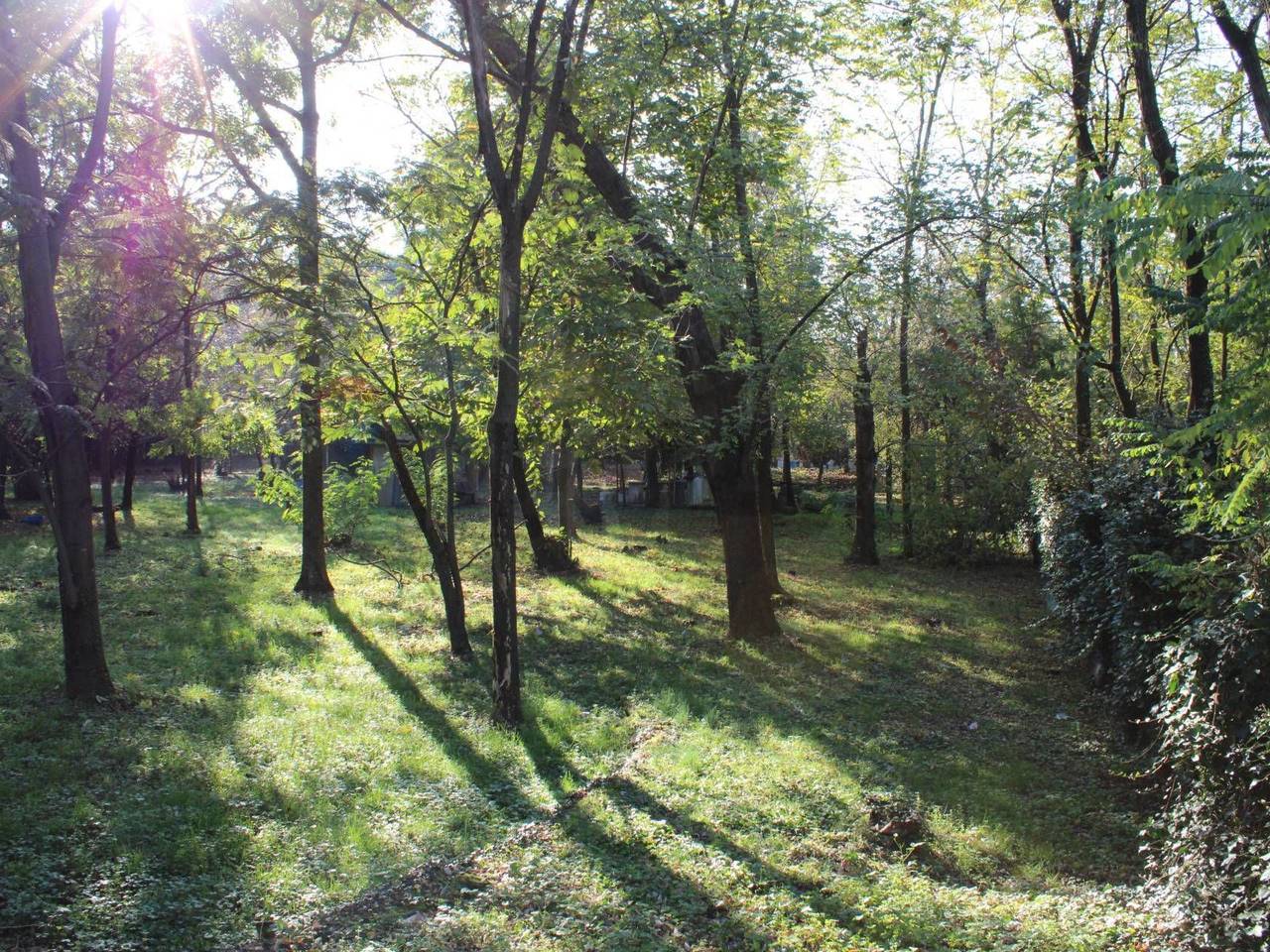 immagine annuncio 6 di 14