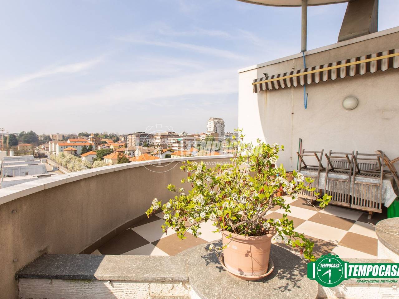 immagine annuncio 12 di 15