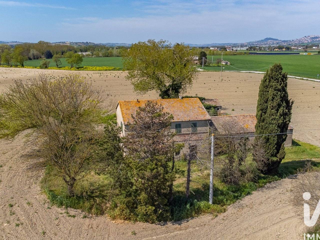 immagine annuncio 3 di 14