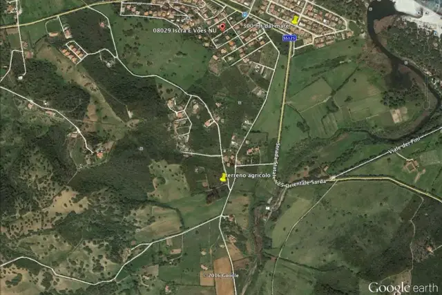 insertion image
