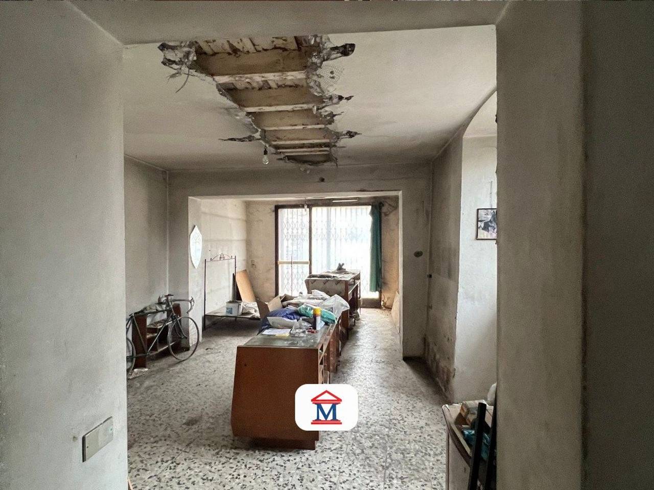 immagine annuncio 2 di 12