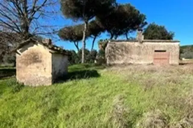 insertion image
