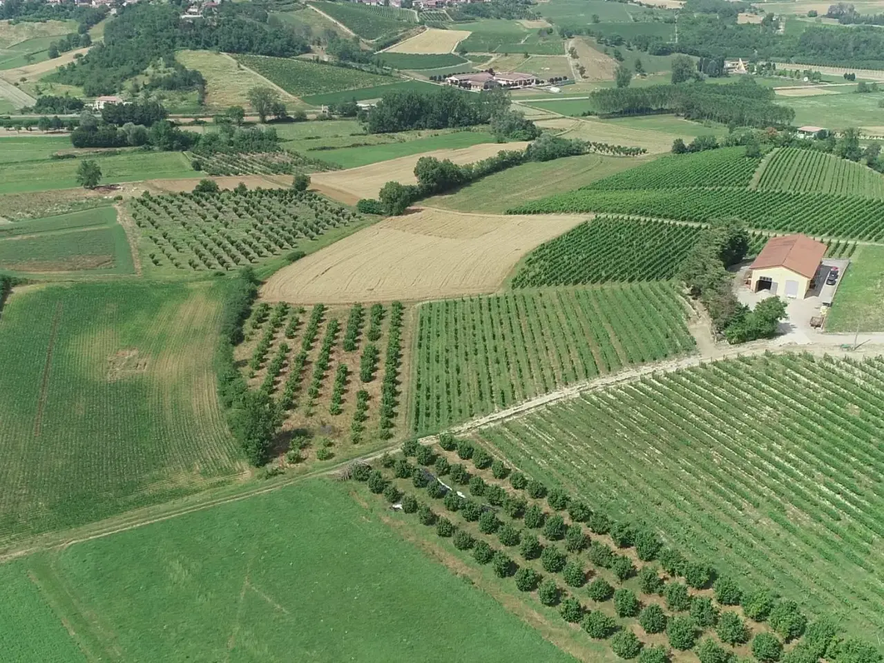 Azienda agricola in Via Ritane 7, Isola D'Asti, {3} - Foto 2