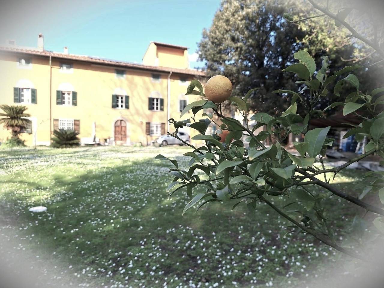 casa indipendente in vendita a Cascina in zona San Frediano a Settimo