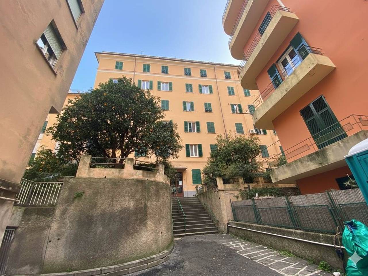 immagine annuncio 7 di 12