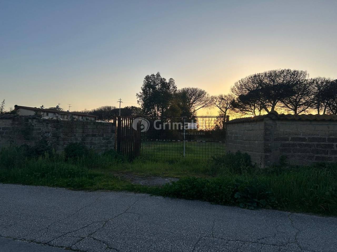 immagine annuncio 12 di 14