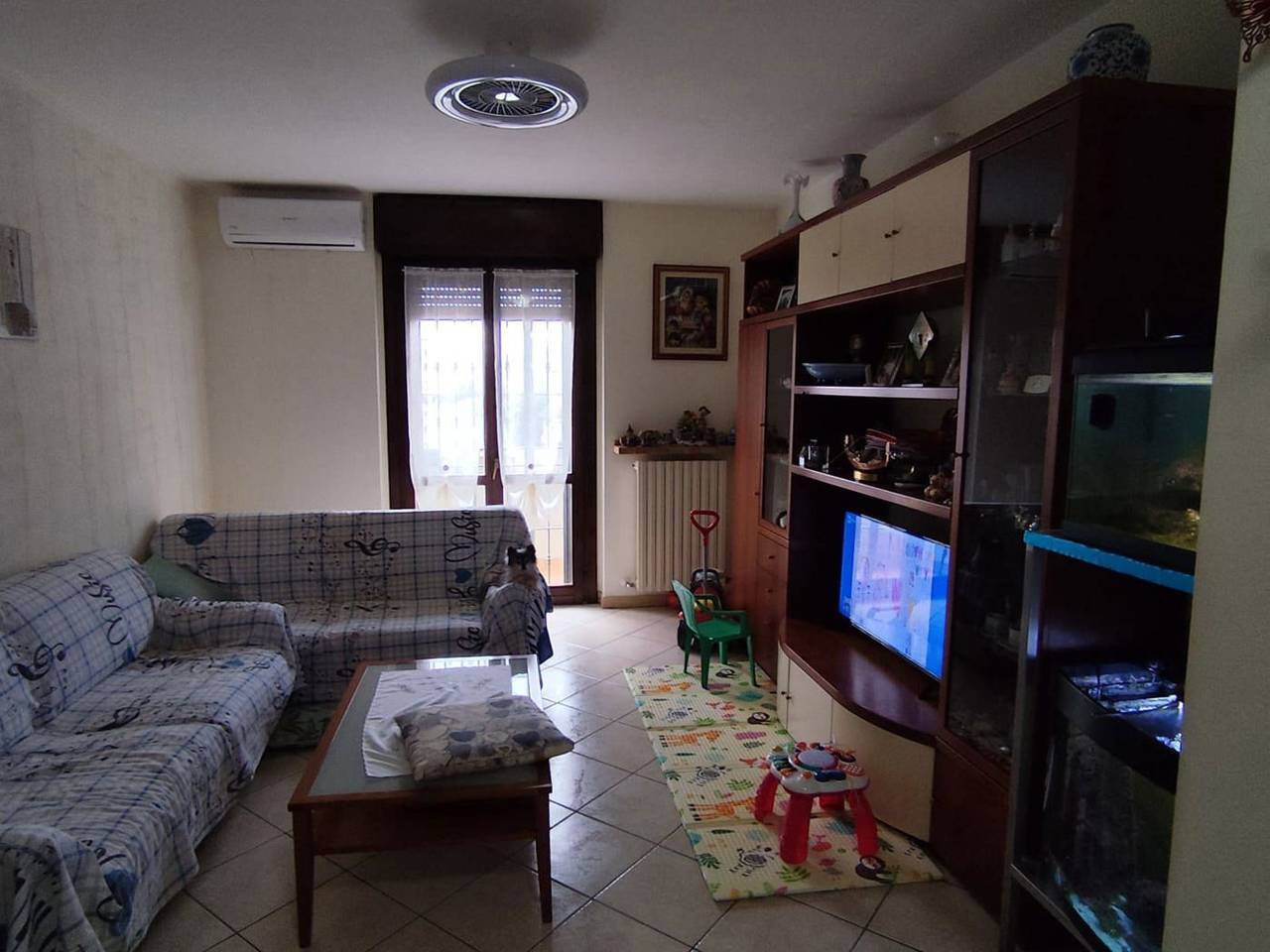 immagine annuncio 7 di 14