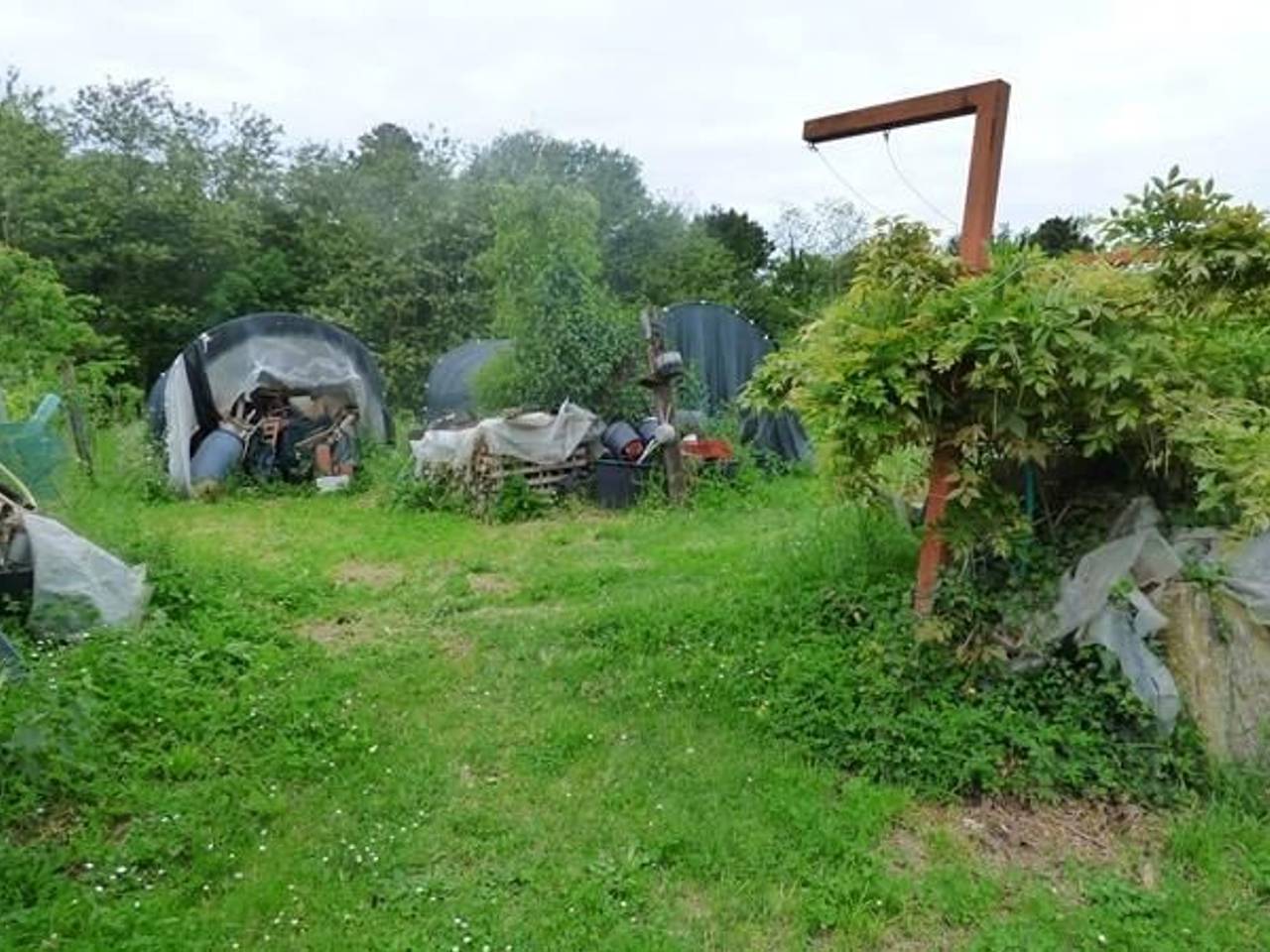 immagine annuncio 2 di 12