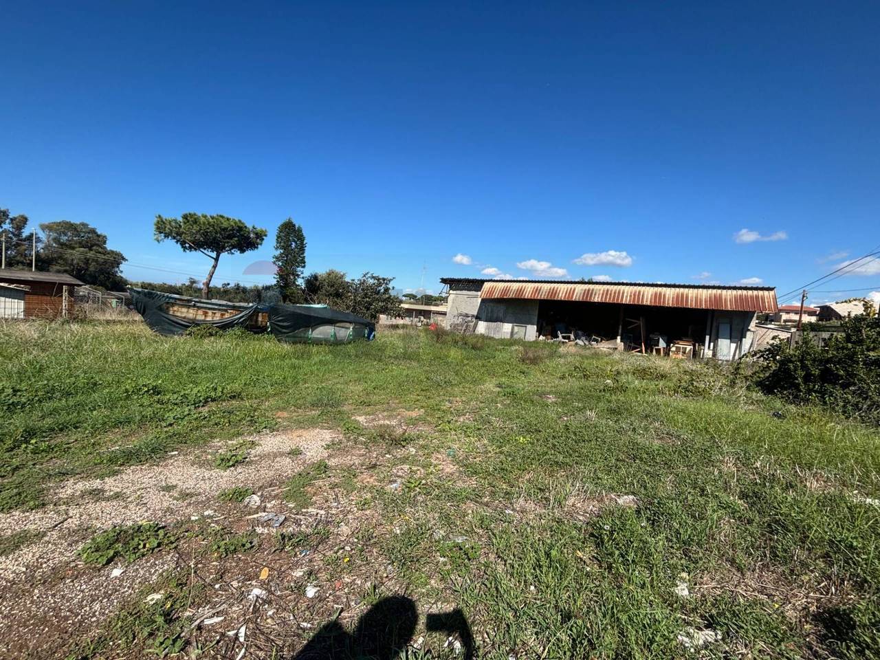 immagine annuncio 7 di 13