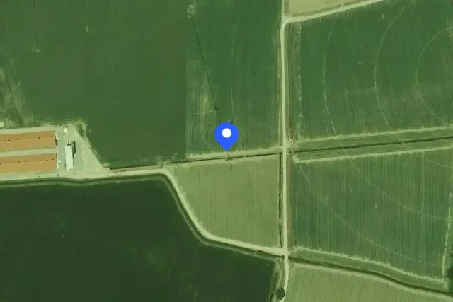 insertion image