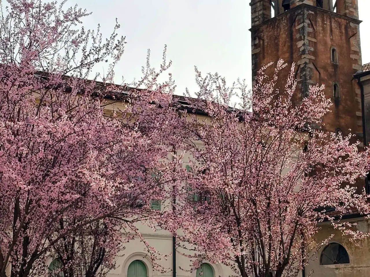 Negozio in , Vittorio Veneto, {3} - Foto 1