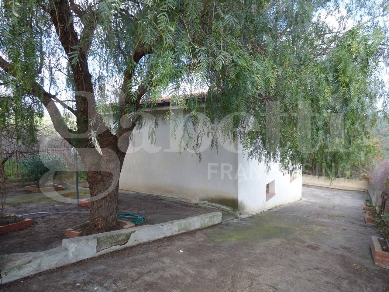 immagine annuncio 3 di 14