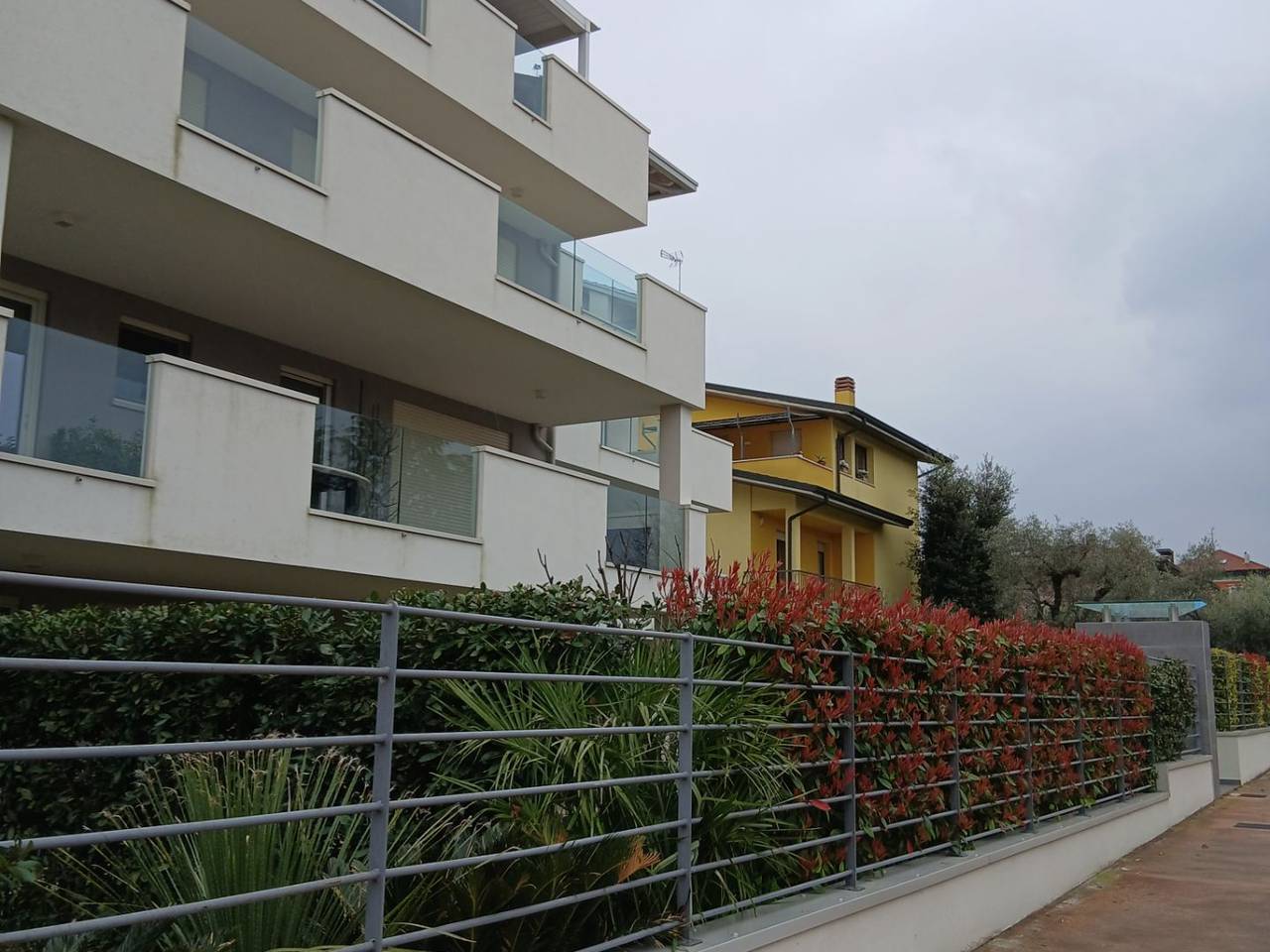 immagine annuncio 11 di 15