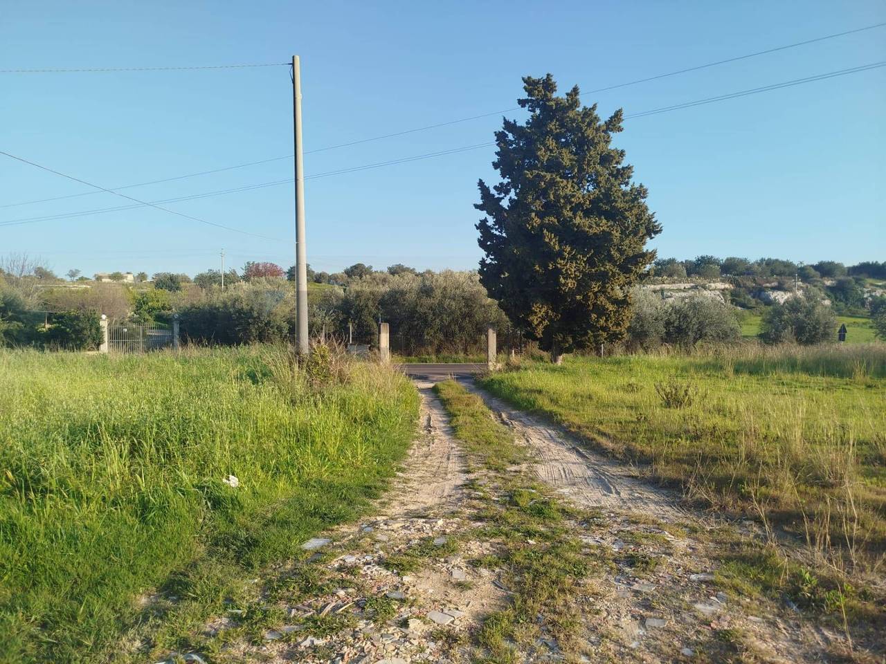 immagine annuncio 5 di 8