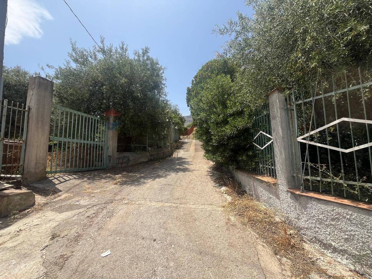 immagine annuncio 8 di 12