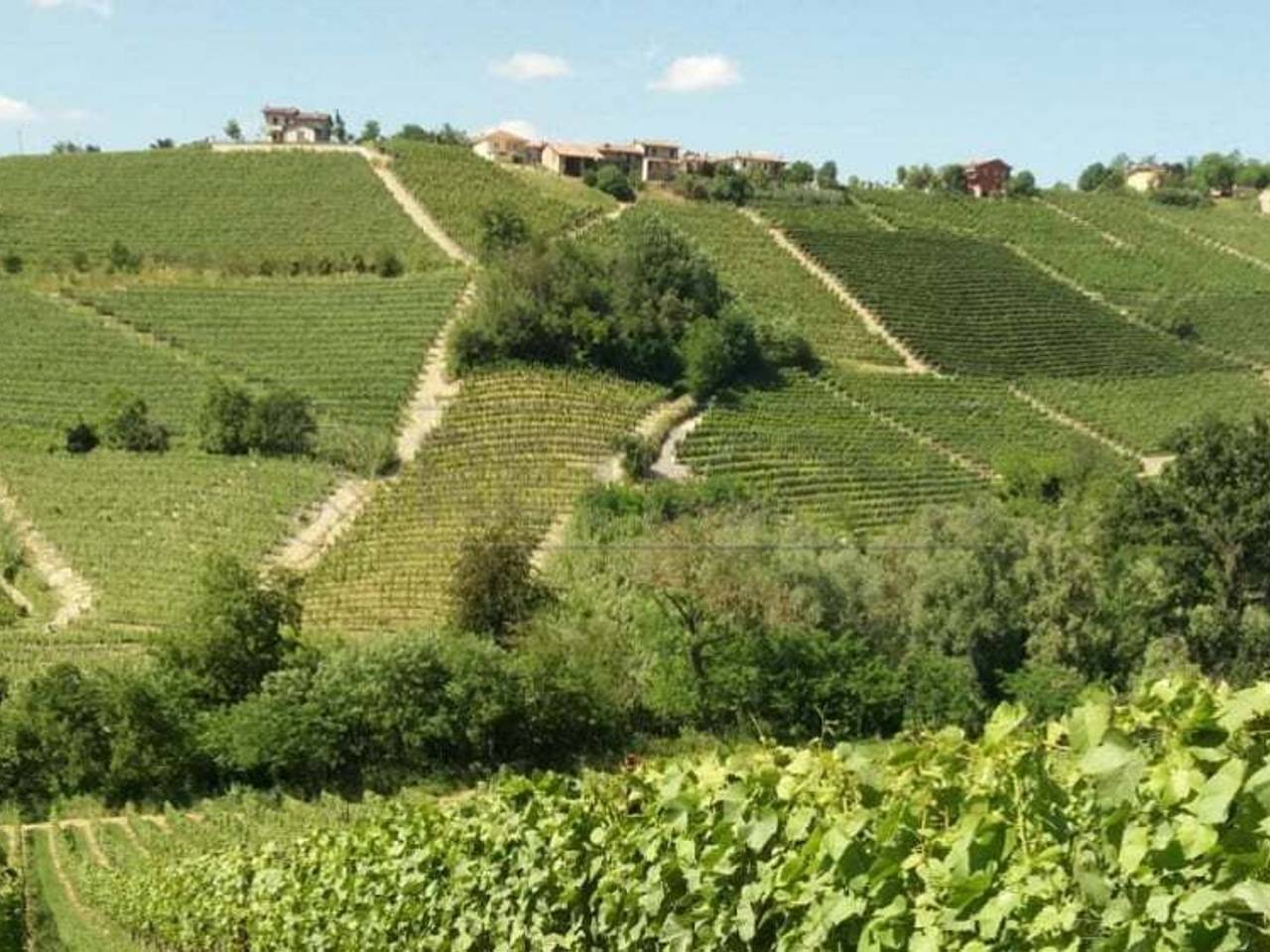 immagine annuncio 2 di 6