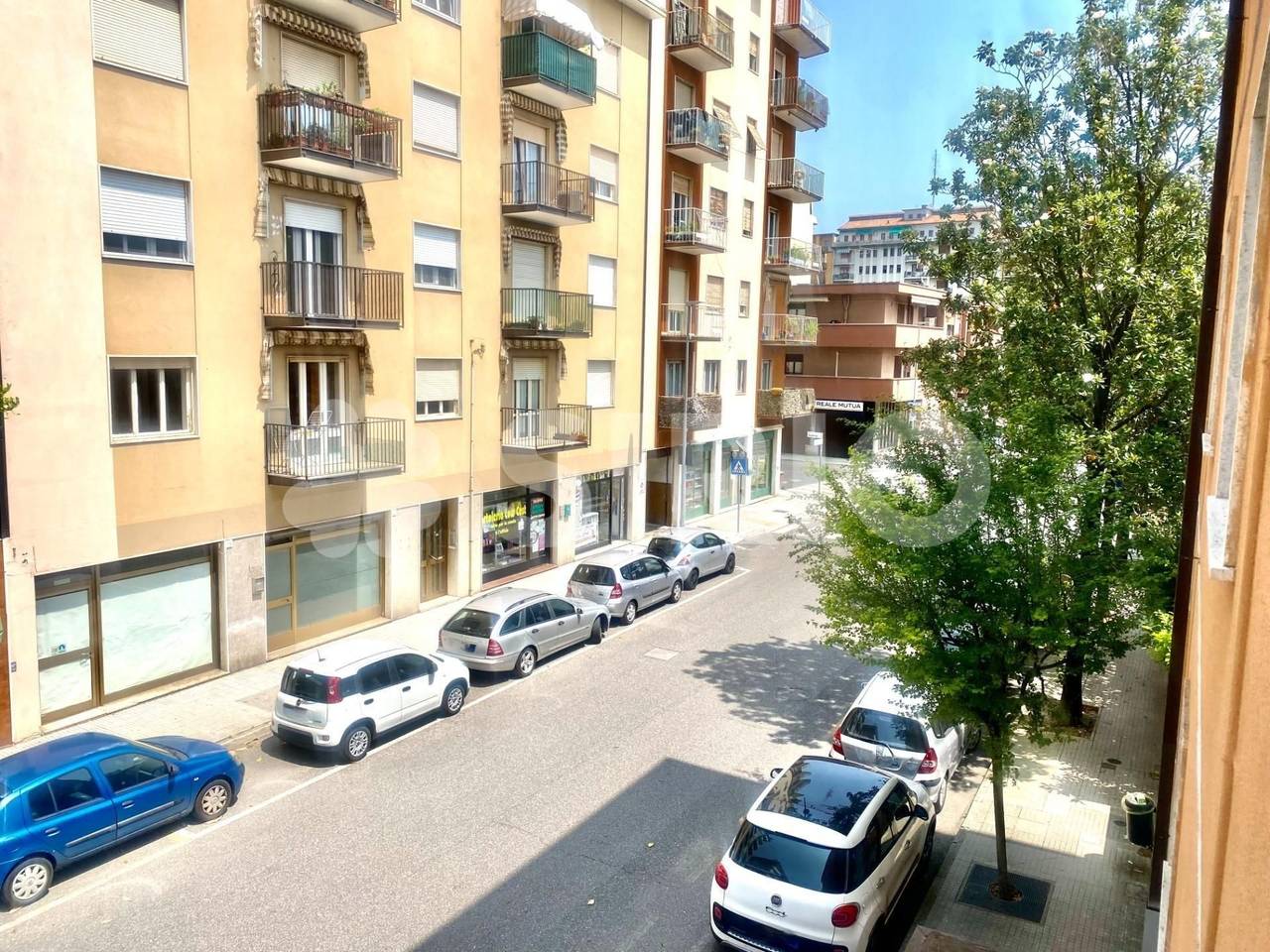 immagine annuncio 12 di 13