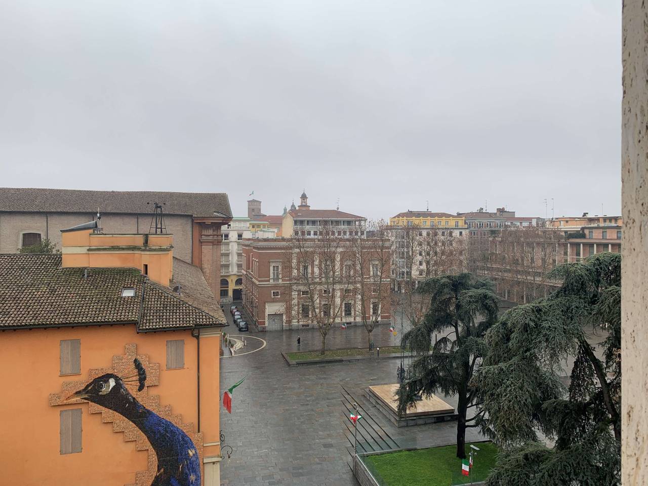 immagine annuncio 7 di 14