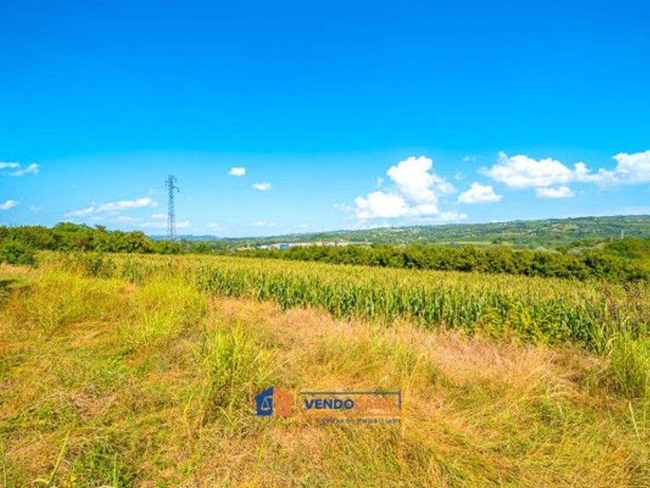 immagine annuncio 11 di 14