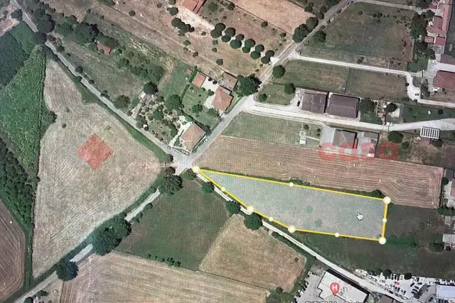insertion image