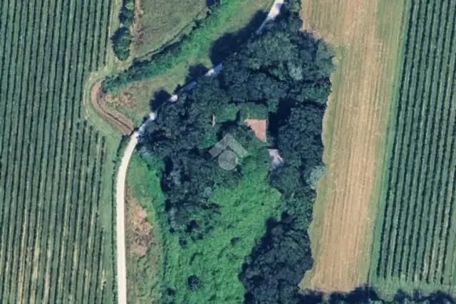 insertion image