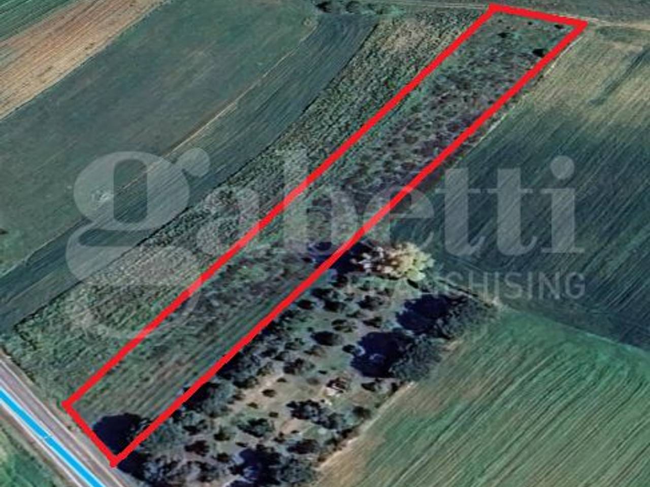 immagine annuncio 7 di 8