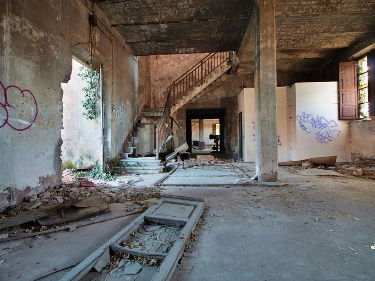 immagine annuncio 5 di 8