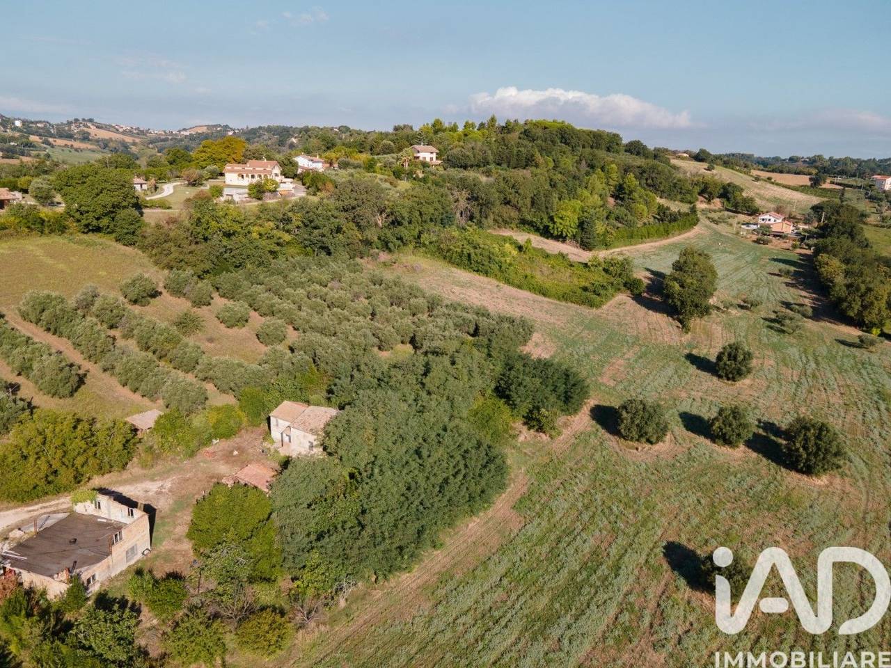 immagine annuncio 6 di 14