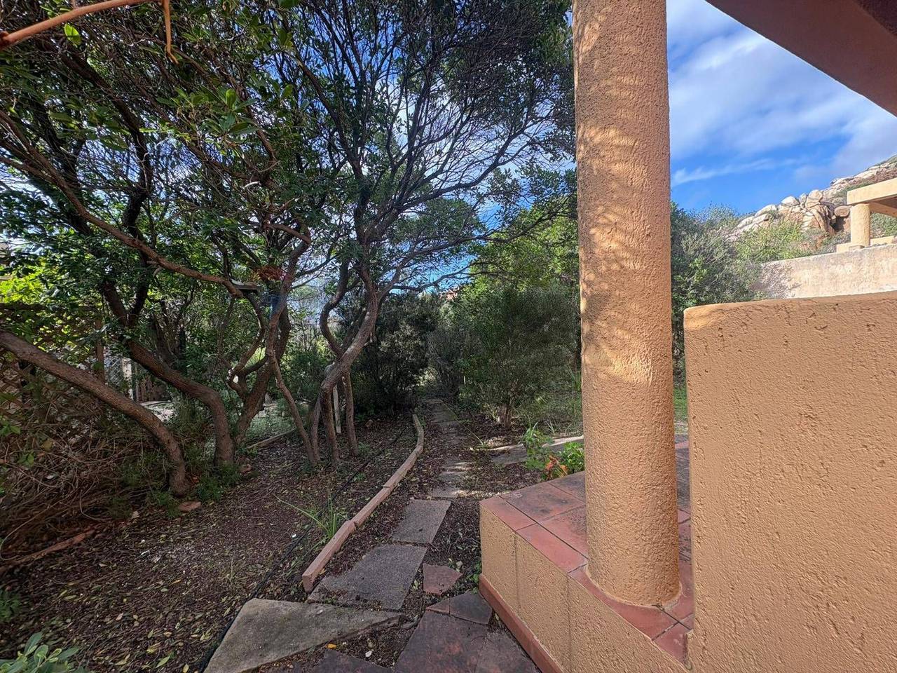 immagine annuncio 3 di 14