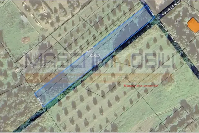 insertion image