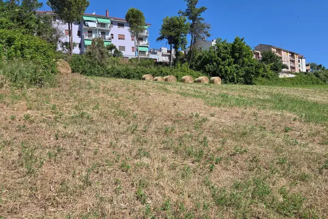 insertion image