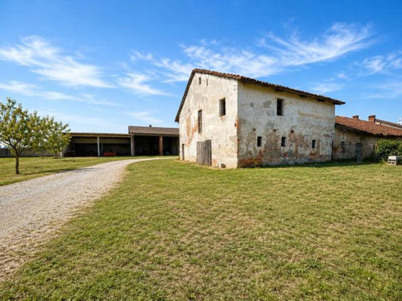 immagine annuncio 5 di 11