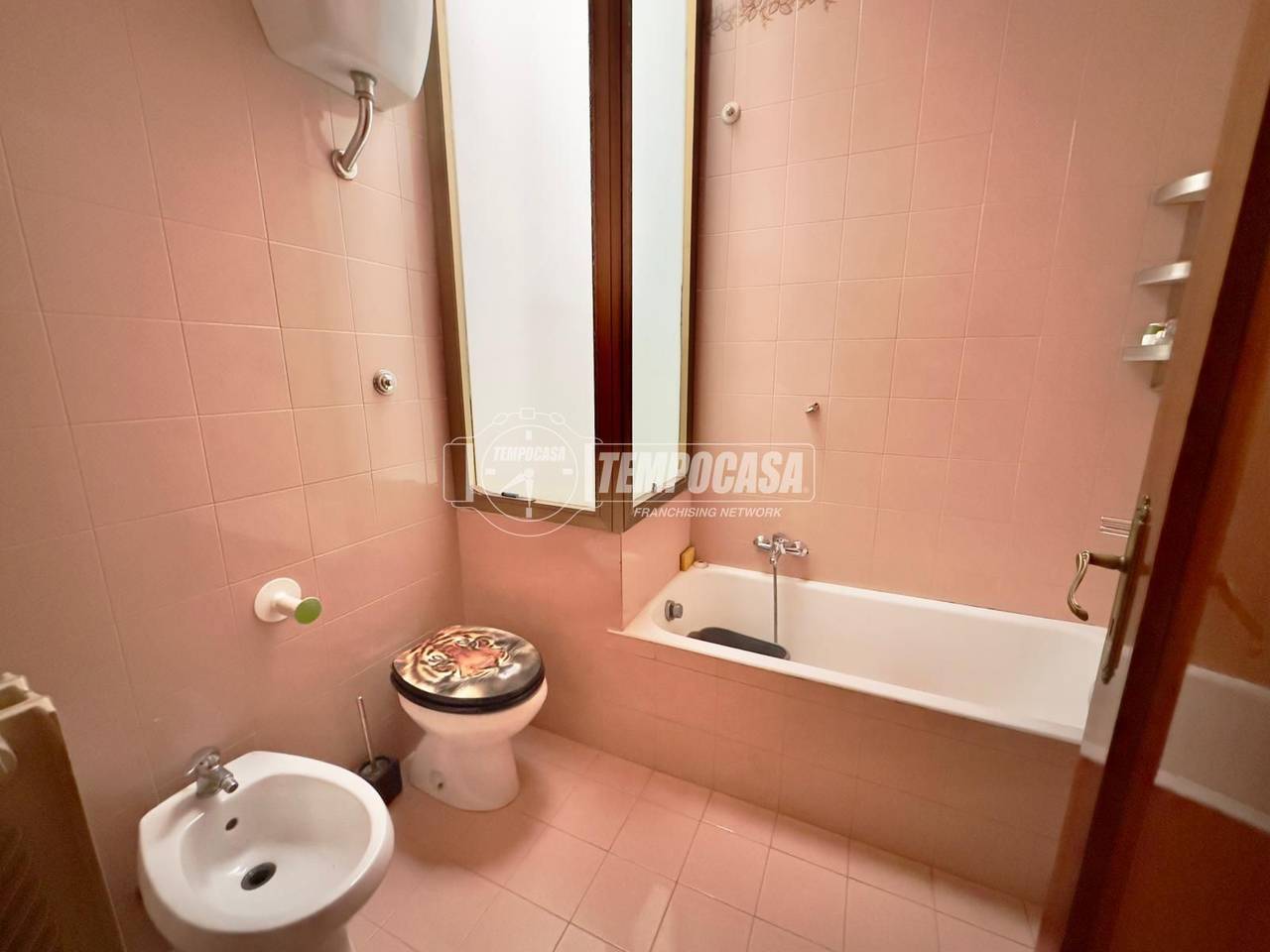 immagine annuncio 9 di 14