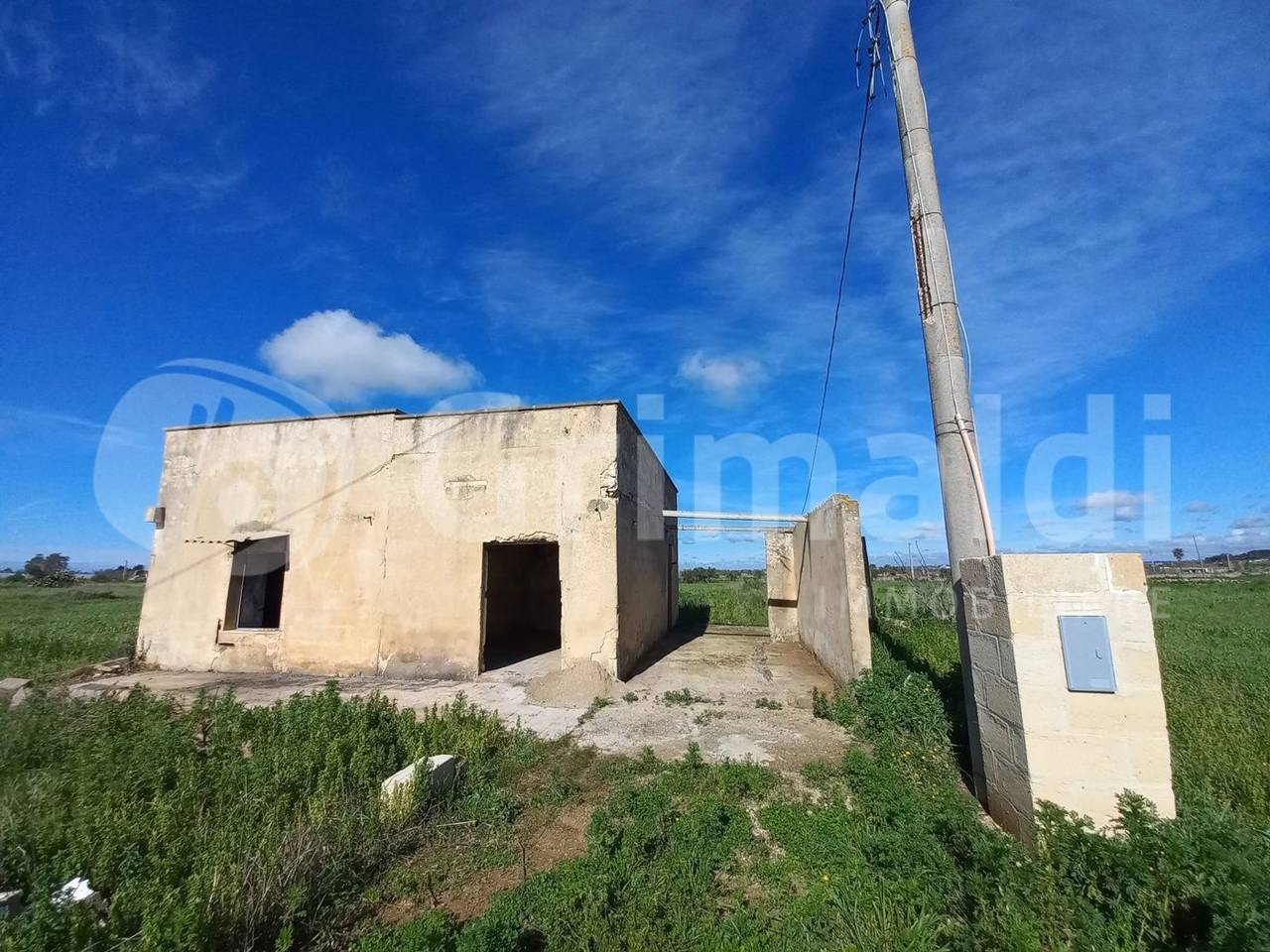 immagine annuncio 8 di 15