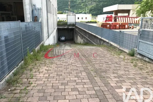 insertion image