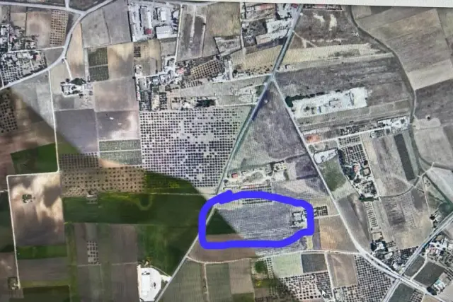 insertion image