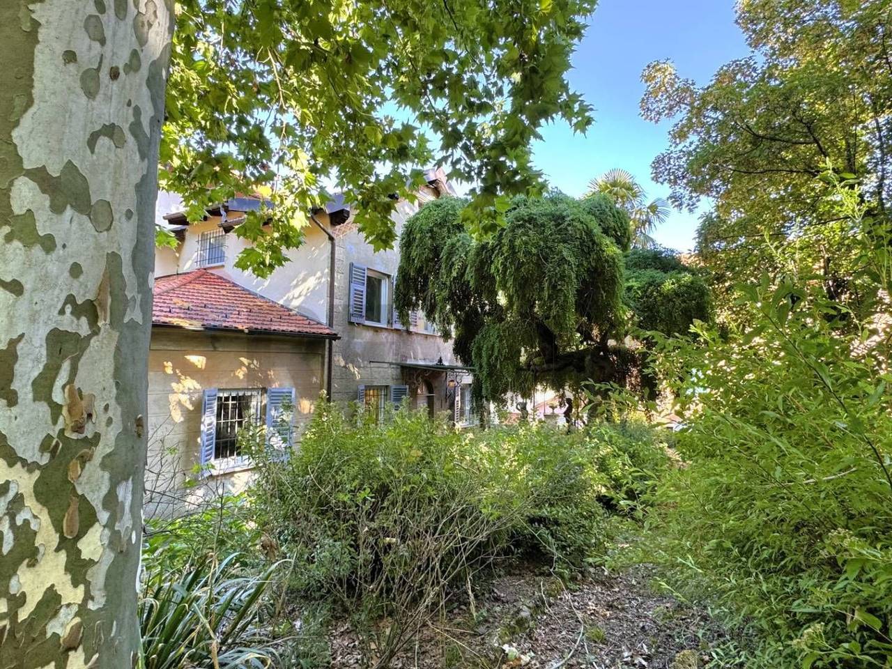 immagine annuncio 14 di 15