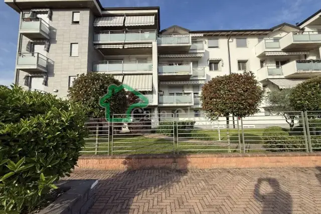 insertion image