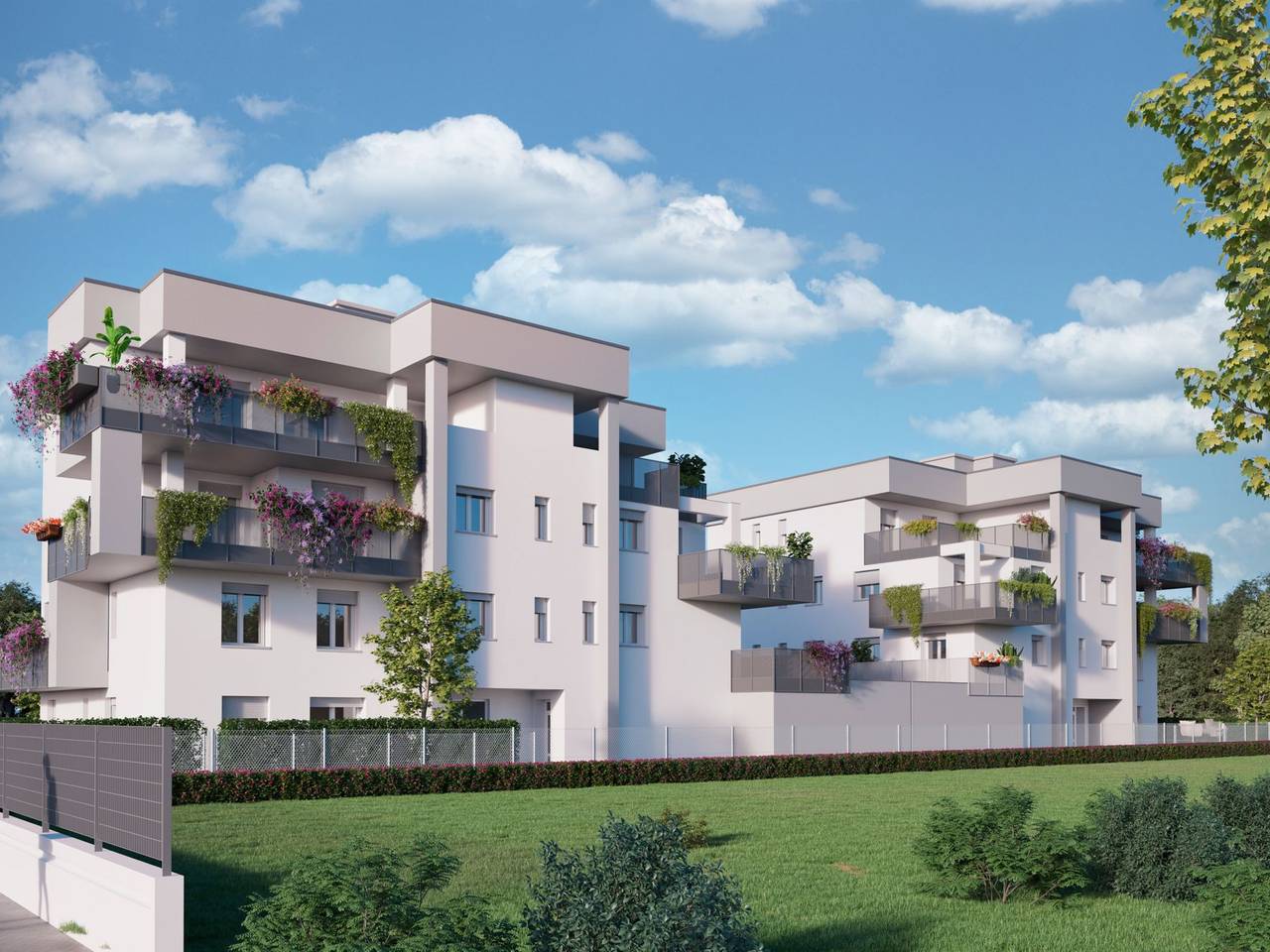 immagine annuncio 2 di 15