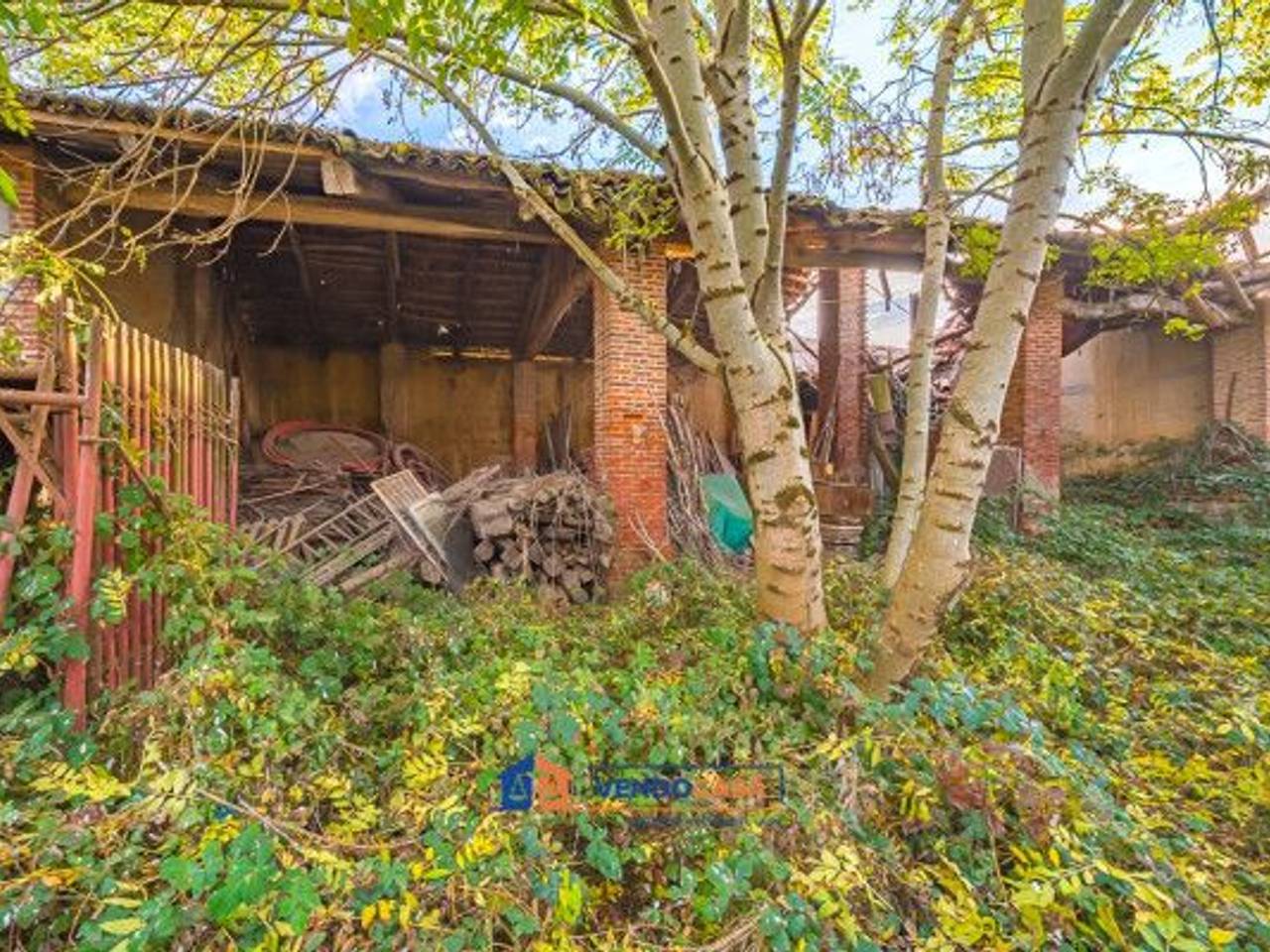 immagine annuncio 11 di 15