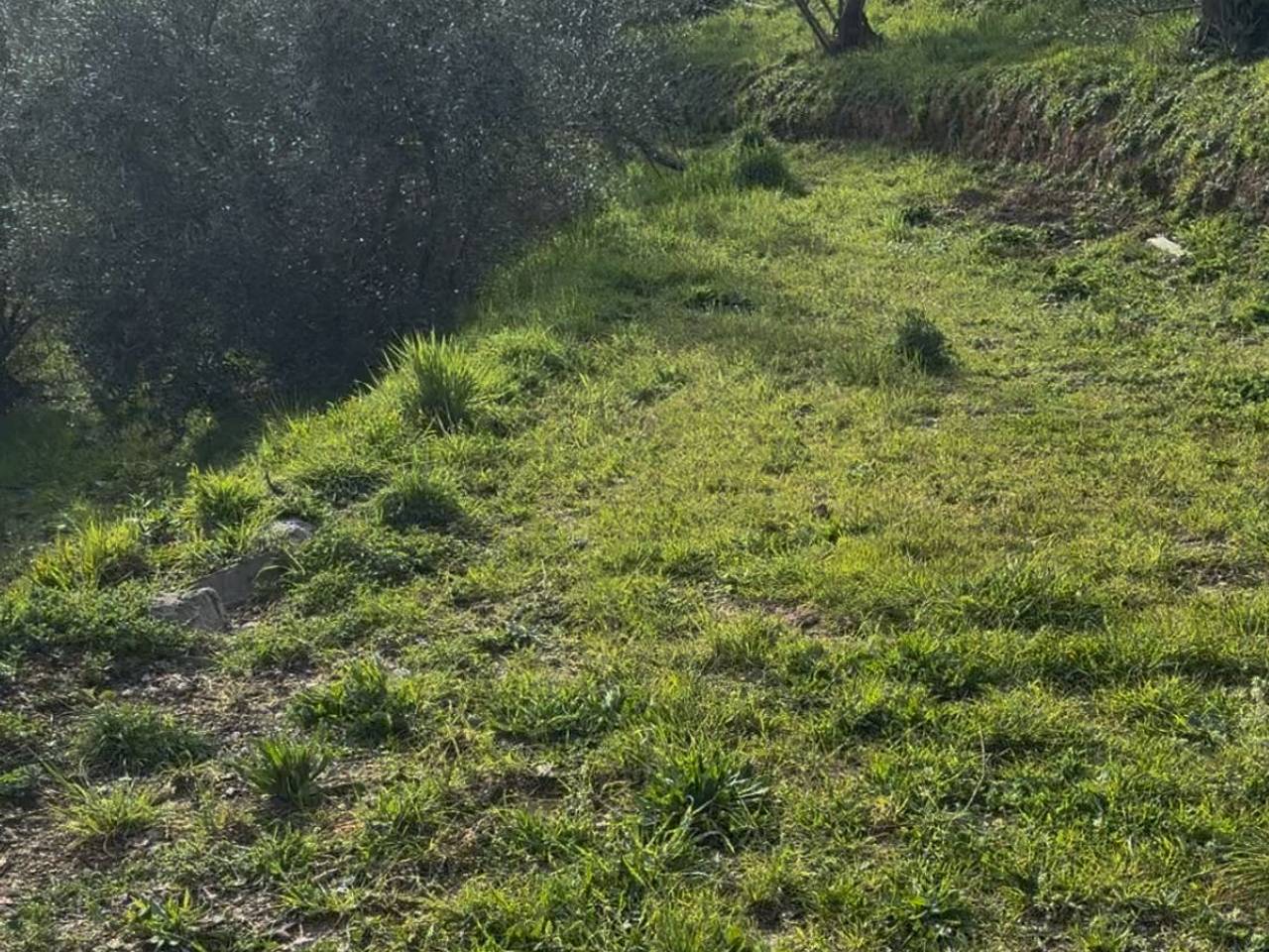 immagine annuncio 10 di 13