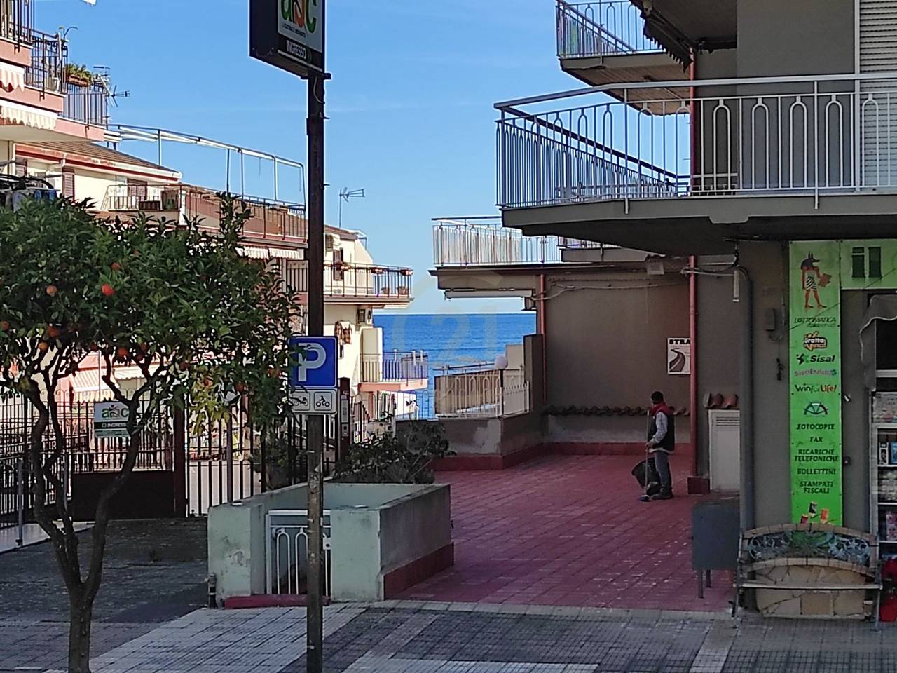 immagine annuncio 11 di 15